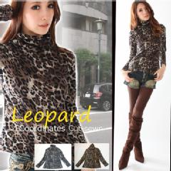 Leopard ӂ